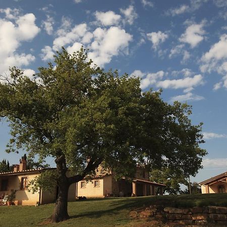 Agriturismo Belvedere Di Pierini E Brugi Campagnatico ภายนอก รูปภาพ