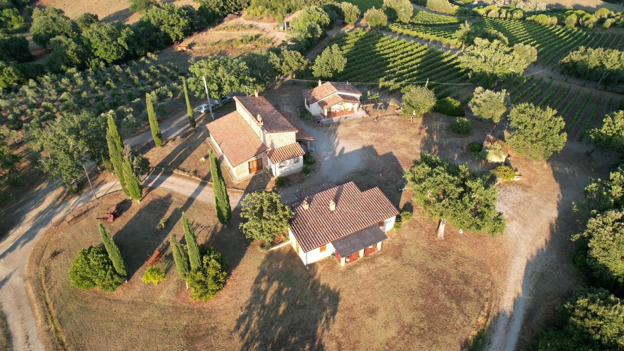 Agriturismo Belvedere Di Pierini E Brugi Campagnatico ภายนอก รูปภาพ