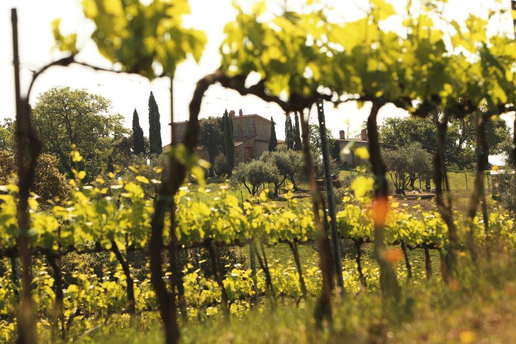 Agriturismo Belvedere Di Pierini E Brugi Campagnatico ภายนอก รูปภาพ