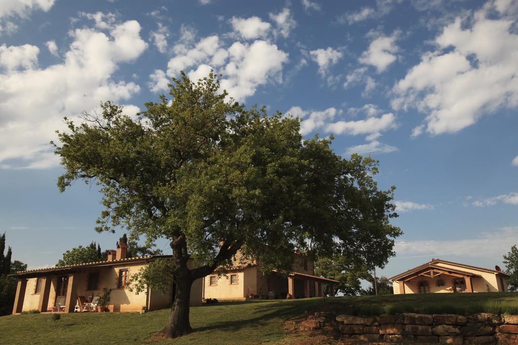 Agriturismo Belvedere Di Pierini E Brugi Campagnatico ภายนอก รูปภาพ
