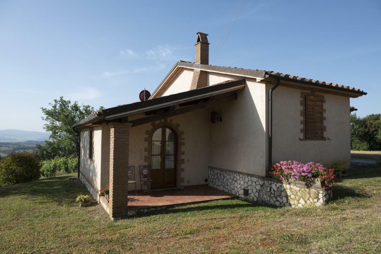 Agriturismo Belvedere Di Pierini E Brugi Campagnatico ภายนอก รูปภาพ