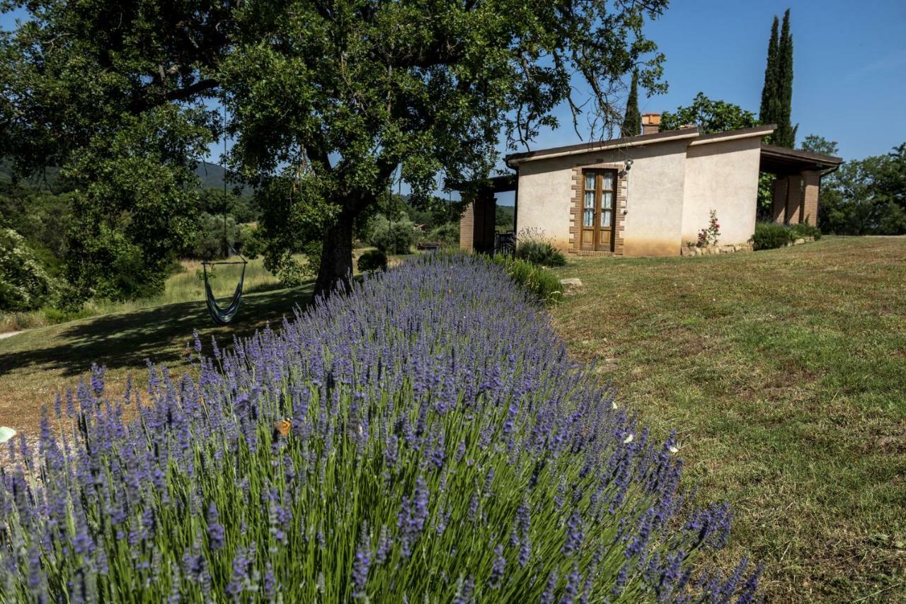 Agriturismo Belvedere Di Pierini E Brugi Campagnatico ภายนอก รูปภาพ